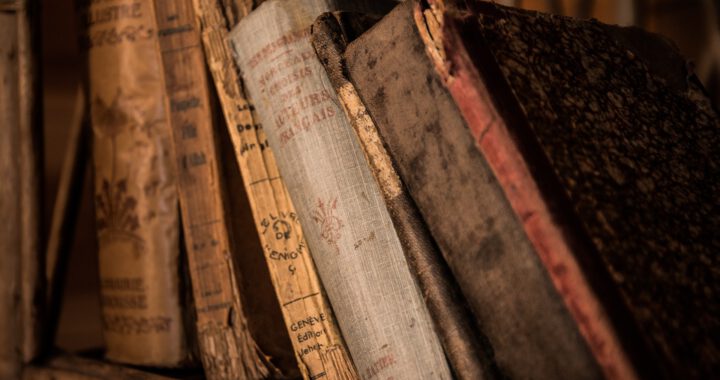 Old books, standing on a bookshelf. Photo: Michal Jarmoluk