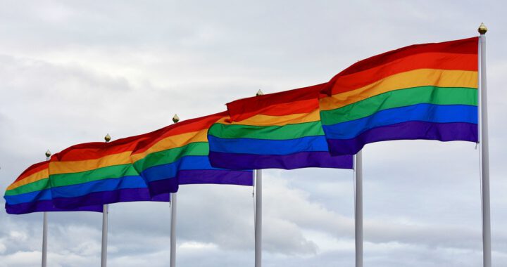 Six pride flags in a row, starting from right and close by to left and further away. The background shows a grey-ish clouded sky.